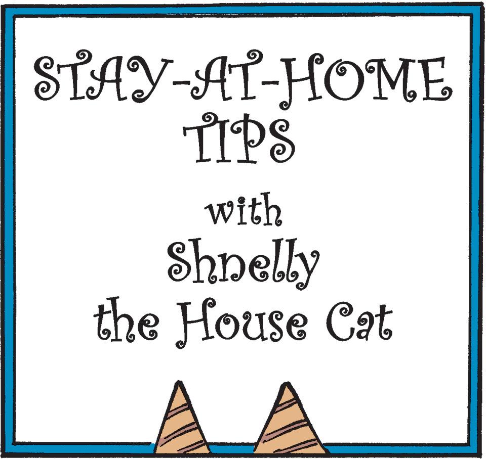 Parallel OCR: STAY-AT-HOME TIPS with Shnelly the House Cat STAY-AT-HOME TIPS with Shnelly the House Cat