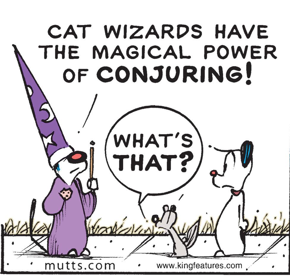 Fictional character OCR: CAT WIZARDS HAVE THE MAGICAL POWER OF CONJURING! WHAT'S THAT? mutts.com www.kingfeatures.com CAT WIZARDS HAVE THE MAGICAL POWER OF CONJURING! WHAT'S THAT? mutts.com www.kingfeatures.com