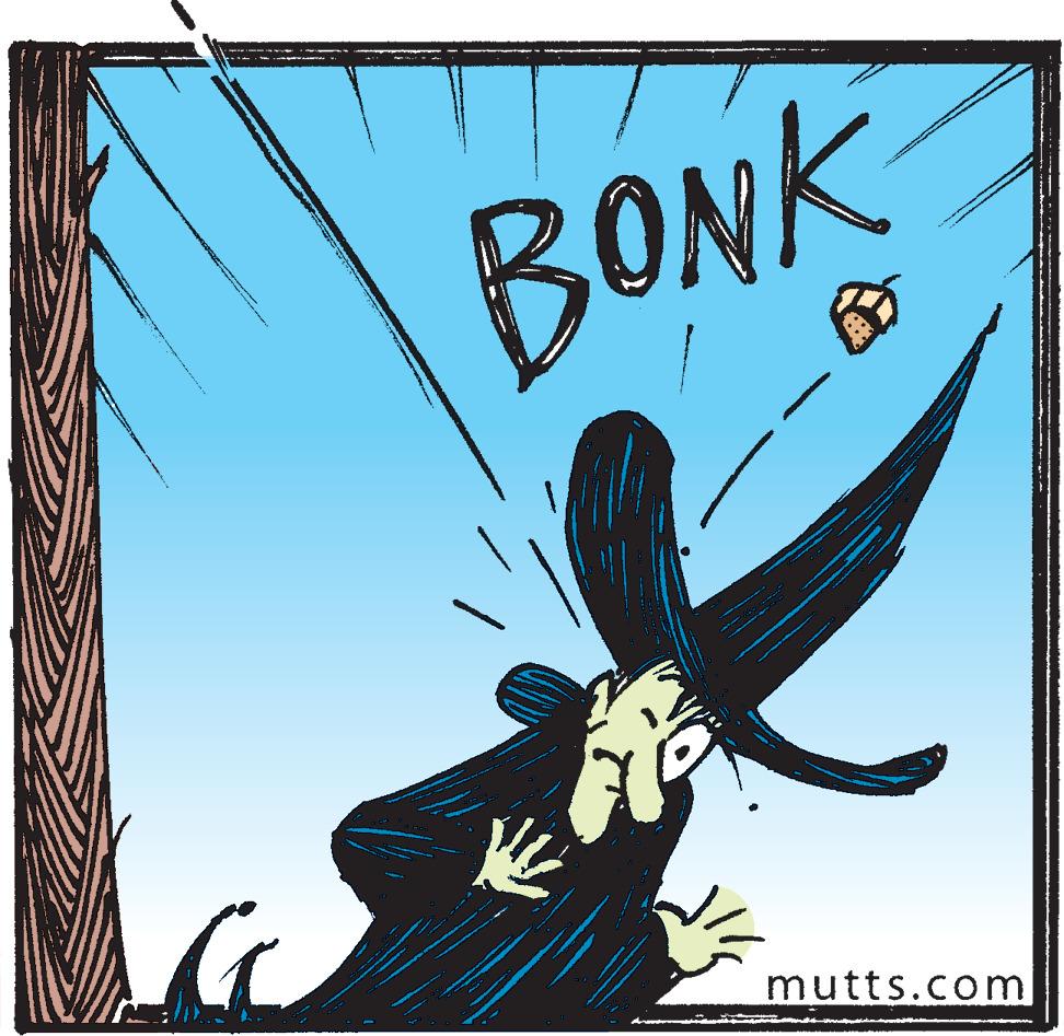 Rectangle OCR: BONK mutts.com BONK mutts.com