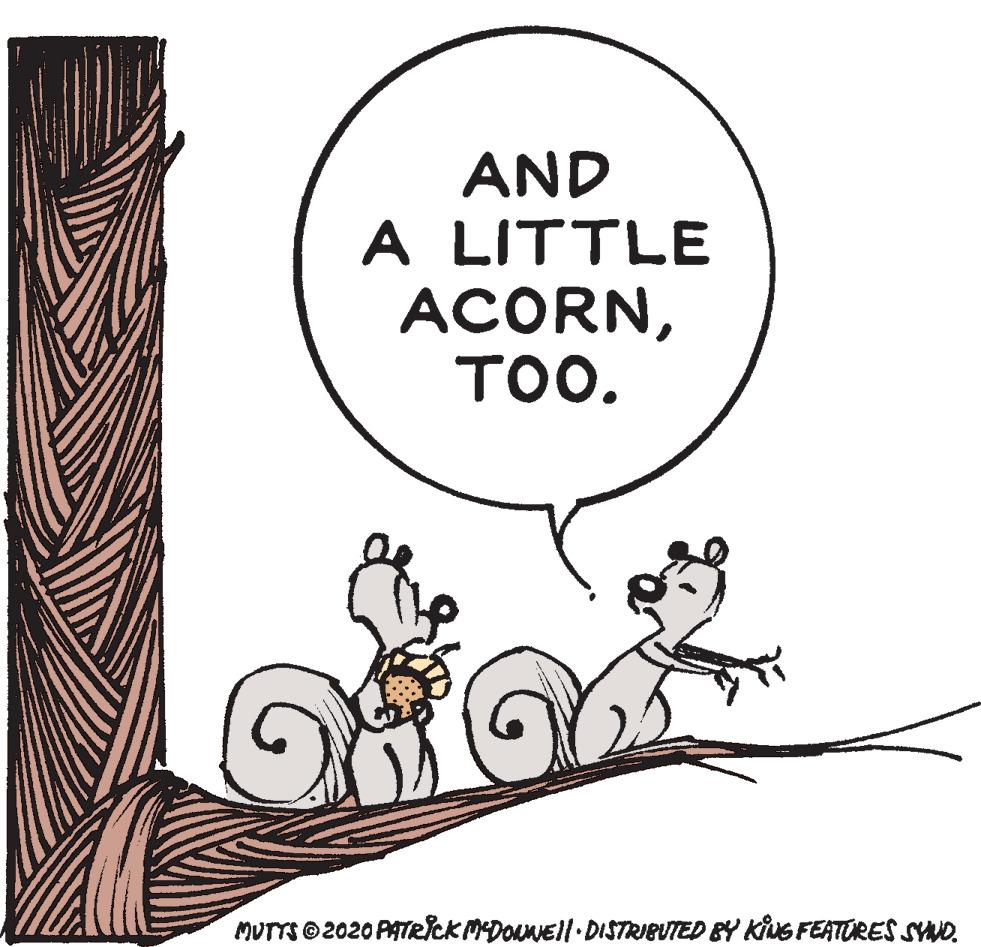 Art OCR: AND A LITTLE ACORN???. MUTTS©2020 PATRCKMDONEll DISTRIBUTED BY KING FEATORES SYND. AND A LITTLE ACORN???. MUTTS©2020 PATRCKMDONEll DISTRIBUTED BY KING FEATORES SYND.