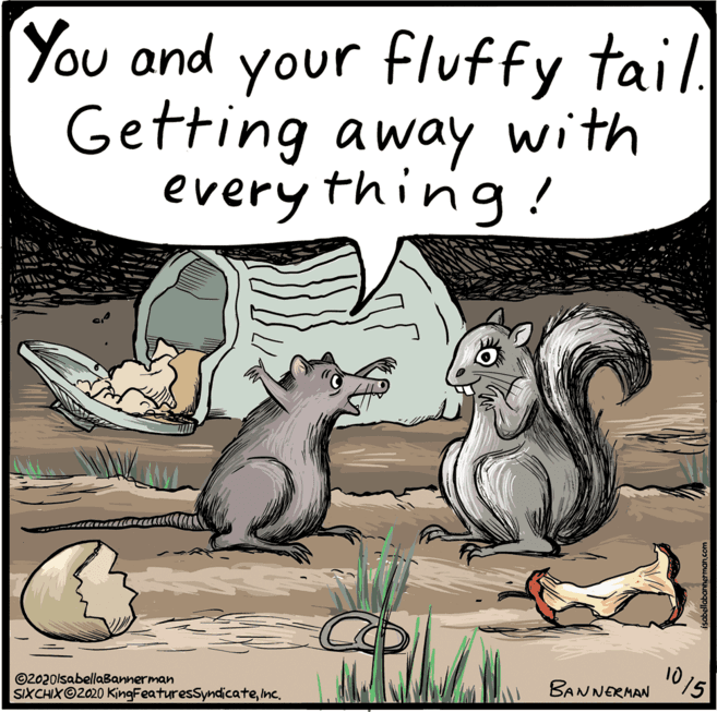 Photo caption OCR: You and your fluffy tail. Getting away with every thing ! 1015 BANNERMAN ©2020lsabellaBannerman SIXCHIXO2020 KingFeaturesSyndicateInc. You and your fluffy tail. Getting away with every thing ! 1015 BANNERMAN ©2020lsabellaBannerman SIXCHIXO2020 KingFeaturesSyndicate