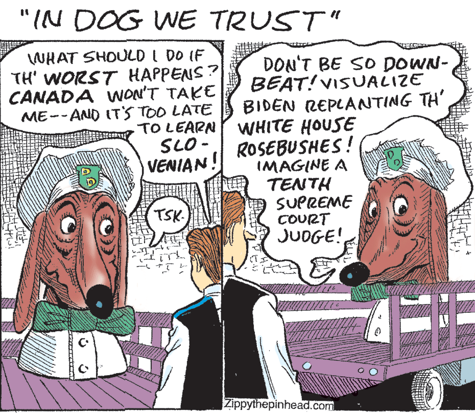 Illustration OCR: "IN DOG WE TRUST" WHAT SHOULD I DO IF TH' WORST HAPPENS? CANADA WON'T TAKE ME-- AND ITS TOO LATE DON'T BE SO DOWN- BEAT! VISUALIZE BIDEN REPLANTING TH' TO LEARN WHITE HOUSE ROSEBUSHES! IMAGINE A TENTH SUPREME COURT JUDGE! SLO - VENIAN! TSK- Zippythepinhead.com "IN DOG WE TRUST" WHAT SHOULD I DO IF TH' WORST HAPPENS? CANADA WON'T TAKE ME-- AND ITS TOO LATE DON'T BE SO DOWN- BEAT! VISUALIZE BIDEN REPLANTING TH' TO LEARN WHITE HOUSE ROSEBUSHES! IMAGINE A TENTH SUPREME COURT JUDGE! SLO - VENIAN! TSK- Zippythepinhead.com
