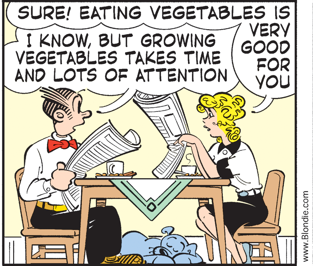 Illustration OCR: I KNOWBUT GROWING VEGETABLES TAKES TIME AND LOTS OF ATTENTION SURE! EATING VEGETABLES IS VERY GOOD FOR YOU www.Blondie.com I KNOWBUT GROWING VEGETABLES TAKES TIME AND LOTS OF ATTENTION SURE! EATING VEGETABLES IS VERY GOOD FOR YOU www.Blondie.com
