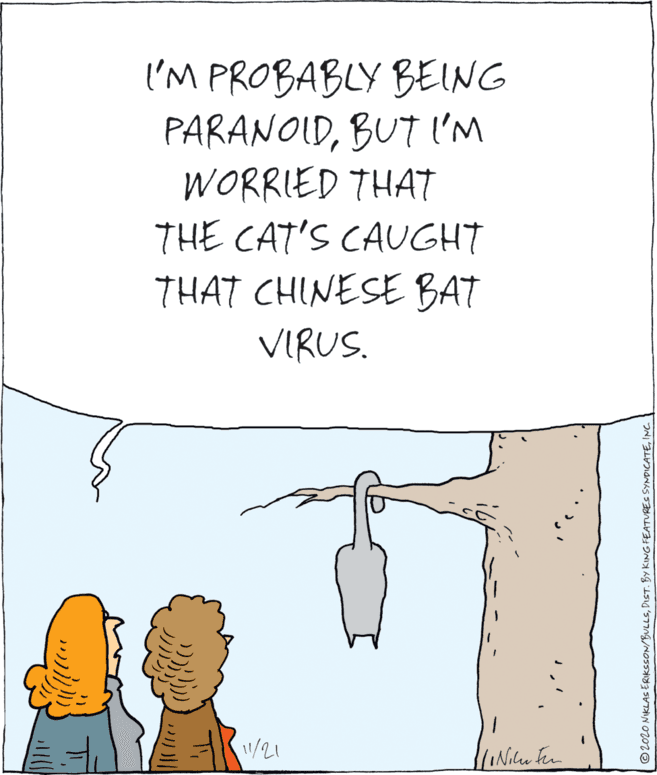 Illustration OCR: I'M PROBABLY BEING PARANOIDBUT I'M WORRIED THAT THE CAT'S CAUGHT THAT CHINESE BAT VIRUS. 1/21 ©2020 NIKLAS ERIKSSON/BULLSINC. I'M PROBABLY BEING PARANOIDBUT I'M WORRIED THAT THE CAT'S CAUGHT THAT CHINESE BAT VIRUS. 1/21 ©2020 NIKLAS ERIKSSON/BULLSDIST. BY KING FEATURES SYNDICATE