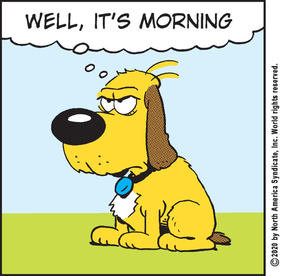 Font OCR: WELLIT'S MORNING © 2020 by North America SyndicateInc. World rights reserved. WELLIT'S MORNING © 2020 by North America SyndicateInc. World rights reserved.