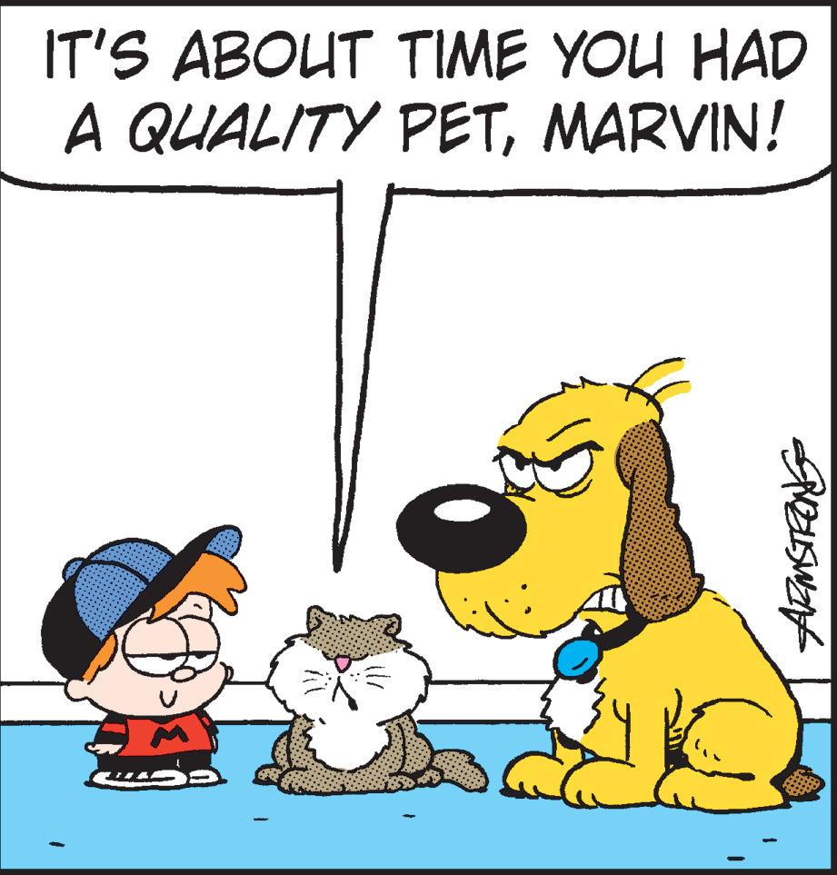Animated cartoon OCR: IT'S ABOUT TIME YOU HAD A QUALITY PETMARVIN! IT'S ABOUT TIME YOU HAD A QUALITY PET
