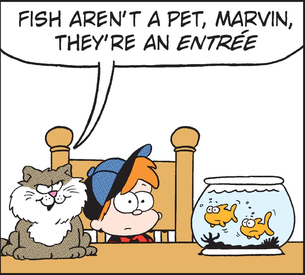 Cat OCR: FISH AREN'TA PETTHEY'RE AN ENTRÉE FISH AREN'TA PETTHEY'RE AN ENTRÉE