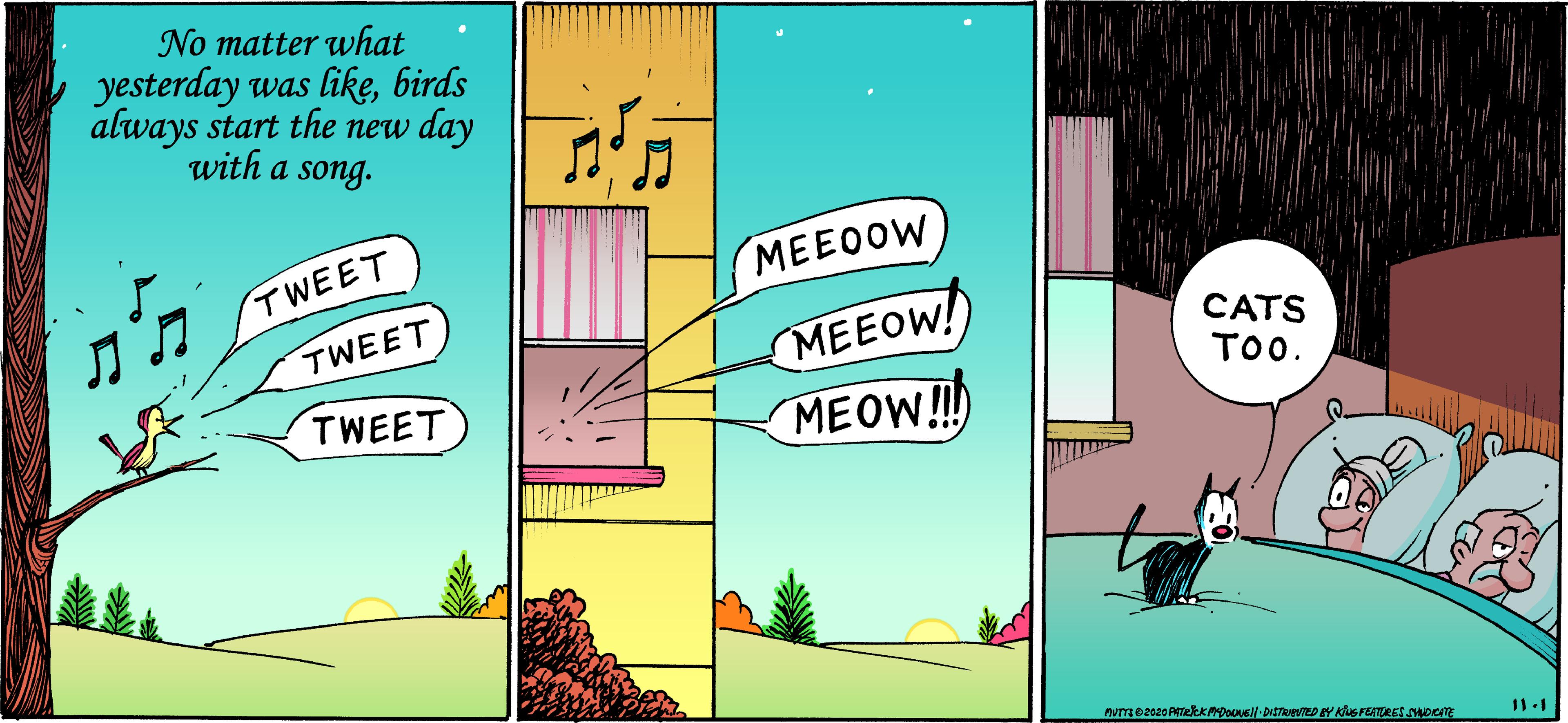 Fictional character OCR: No matter what yesterday was likebirds always start the new day with a song. TWEET MEEOOW MEEOW! MEOW!!! TWEET CATS TOO. TWEET No matter what yesterday was likebirds always start the new day with a song. TWEET MEEOOW MEEOW! MEOW!!! TWEET CATS TOO. TWEET