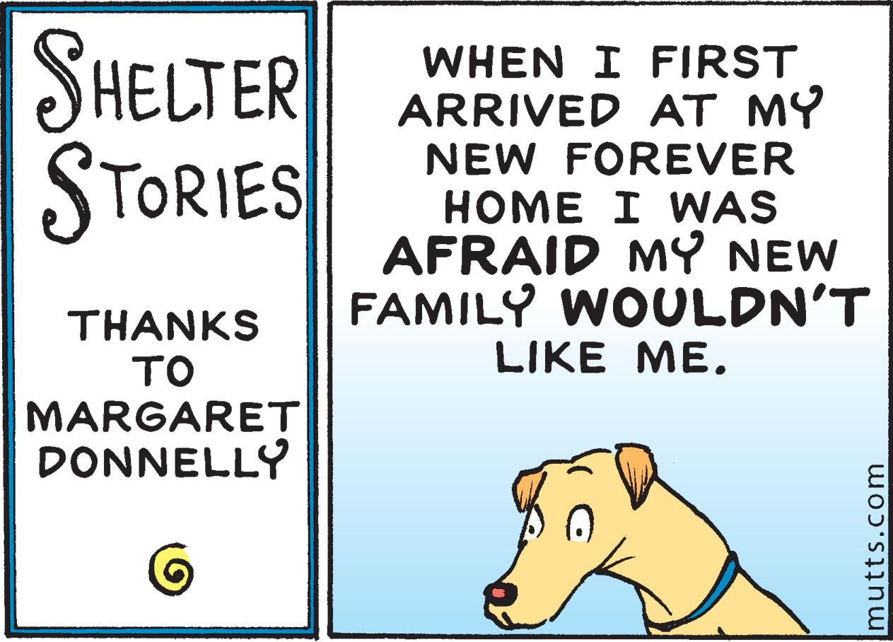 Organism OCR: SHELTER STORIES WHEN I FIRST ARRIVED AT MY NEW FOREVER HOME I WAS AFRAID MY NEW FAMILY WOULDN'T LIKE ME. THANKS TO MARGARET DONNELLY mutts.com SHELTER STORIES WHEN I FIRST ARRIVED AT MY NEW FOREVER HOME I WAS AFRAID MY NEW FAMILY WOULDN'T LIKE ME. THANKS TO MARGARET DONNELLY mutts.com