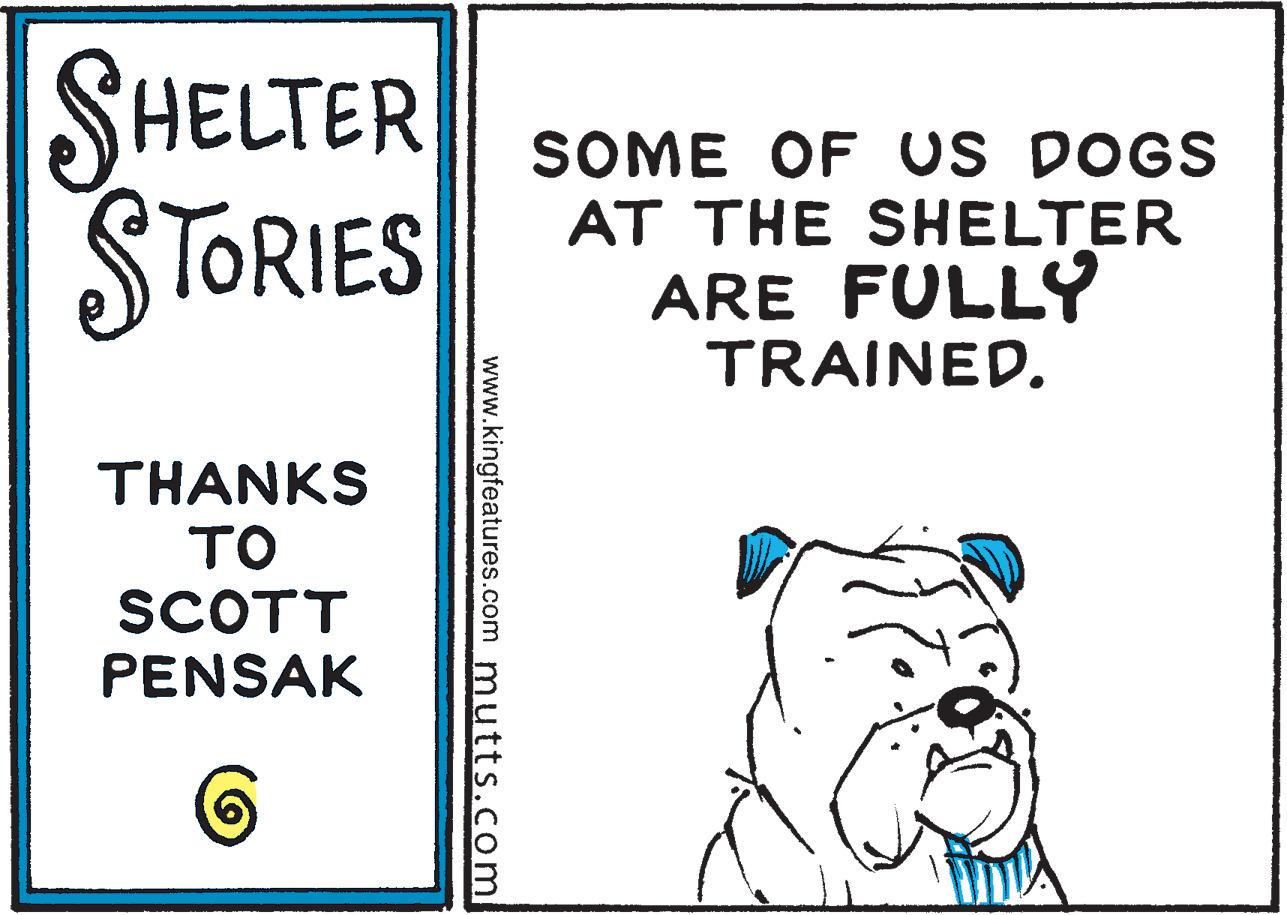 Line OCR: SHELTER STORIES SOME OF US DOGS AT THE SHELTER ARE FULLY TRAINED. THANKS ?? SCOTT PENSAK www.kingfeatures.com mutts.com SHELTER STORIES SOME OF US DOGS AT THE SHELTER ARE FULLY TRAINED. THANKS ?? SCOTT PENSAK www.kingfeatures.com mutts.com