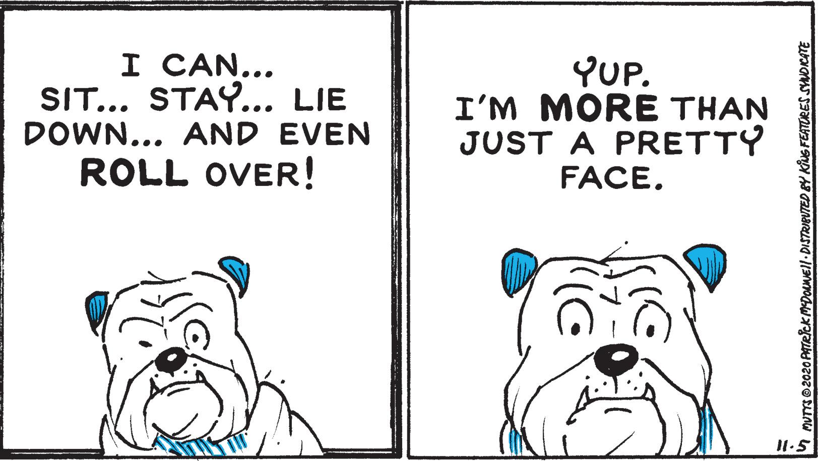 Illustration OCR: I CAN... SIT... STAY... LIE DOWN... AND EVEN YUP. I'M MORE THAN JUST A PRETTY FACE. ROLL OVER! I1.5 MUTS© 2020 PATeiCK MDONEI|.DISTRIBUTED BY KING FEATURES SYNDICATE I CAN... SIT... STAY... LIE DOWN... AND EVEN YUP. I'M MORE THAN JUST A PRETTY FACE. ROLL OVER! I1.5 MUTS© 2020 PATeiCK MDONEI|.DISTRIBUTED BY KING FEATURES SYNDICATE