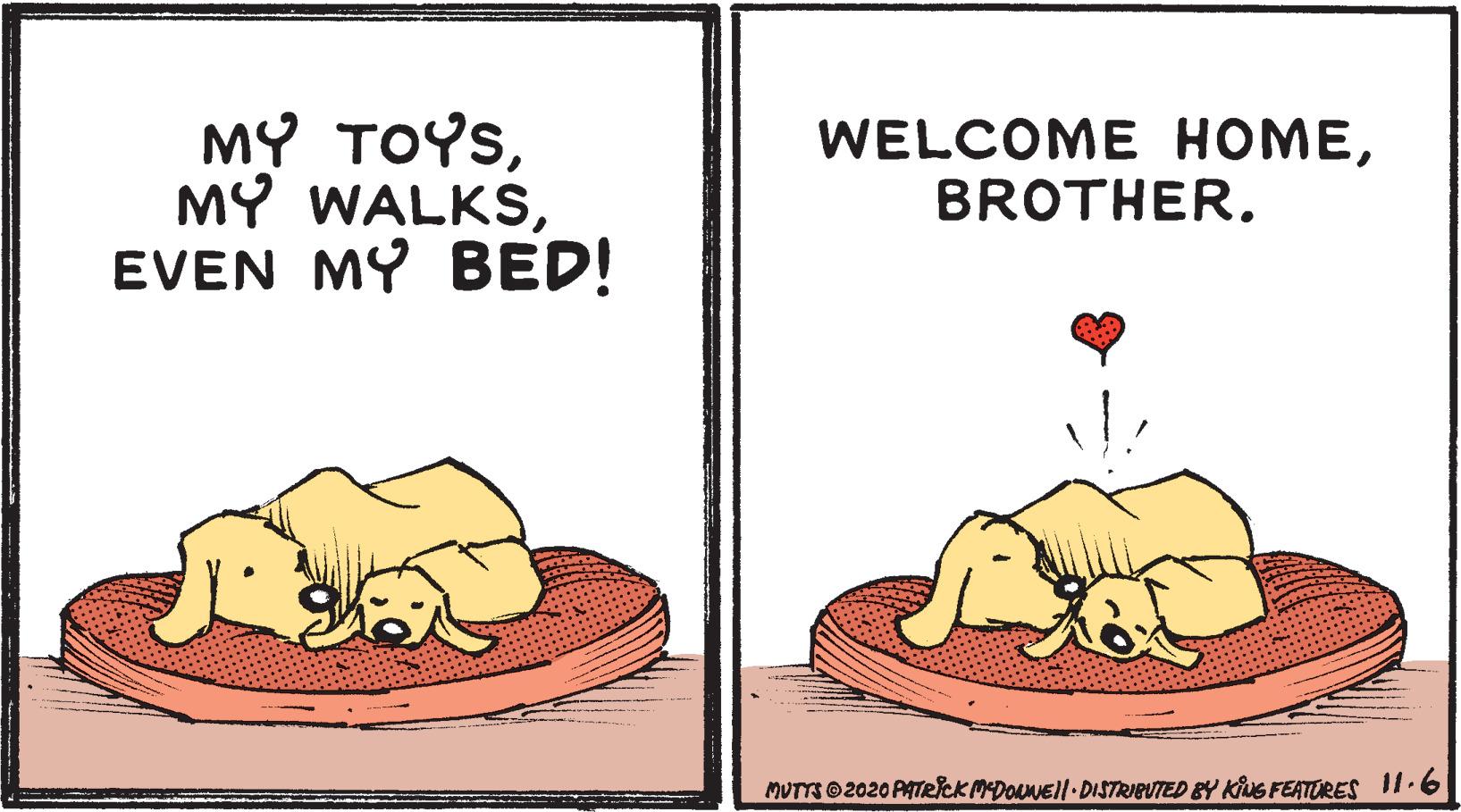 Illustration OCR: MY TOYSEVEN MY BED! WELCOME HOMEBROTHER. MUTTS 2020 PATRICK MDONEll DISTRIBUTED BY KuS FEATERES I1-6 MY TOYSMY WALKSEVEN MY BED! WELCOME HOMEBROTHER. MUTTS 2020 PATRICK MDONEll DISTRIBUTED BY KuS FEATERES I1-6