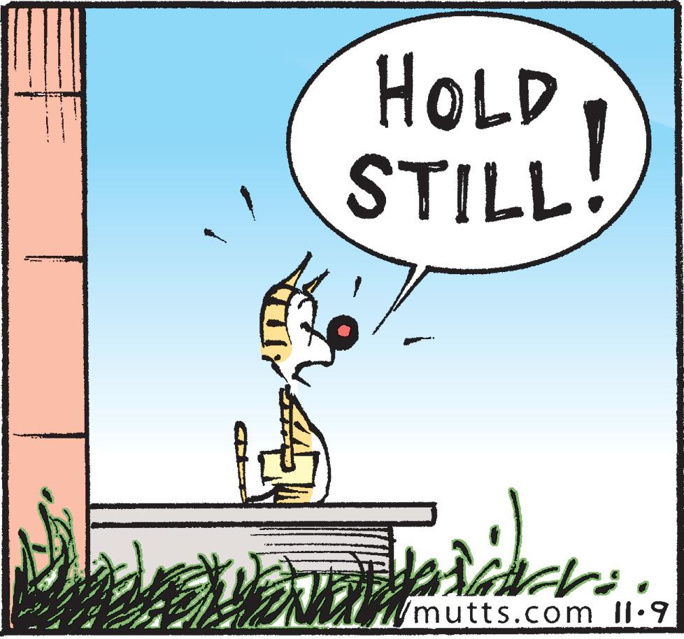 Fiction OCR: HOLD STILL /mutts.com II·9 HOLD STILL /mutts.com II·9