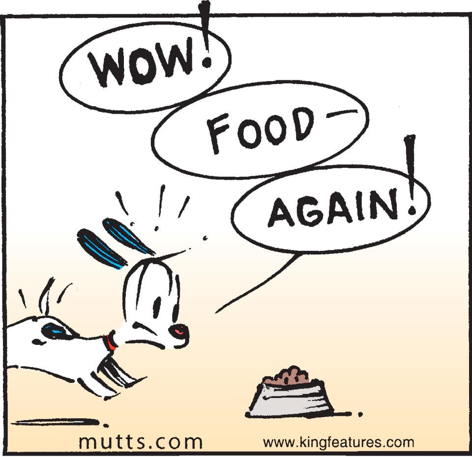 Art OCR: WOW! FOOD AGAIN. mutts.com www.kingfeatures.com WOW! FOOD AGAIN. mutts.com www.kingfeatures.com