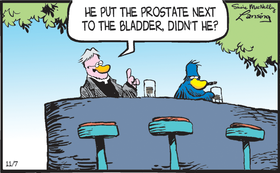 Comic book OCR: Sucie MacNelly HE PUT THE PROSTATE NEXT TO THE BLADDERDIDN'T HE? Lansing 11/7 Sucie MacNelly HE PUT THE PROSTATE NEXT TO THE BLADDERDIDN'T HE? Lansing 11/7