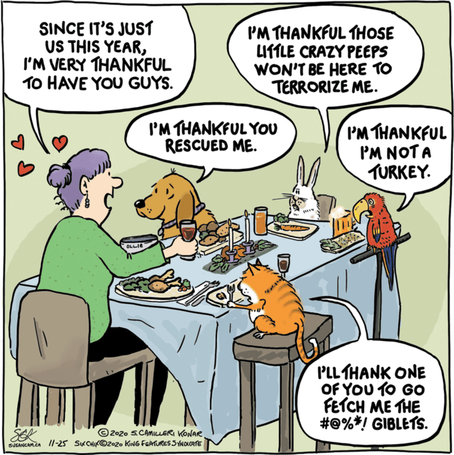 Conversation OCR: SINCE IT'S JUST US THIS YEARI'M VERY THANKFUL TO HAVE YOU GUYS. I'M THANKFUL THOSE LITTLE CRAZY PEEPS WON'T BE HERE TO TERRORIZE ME. I'M THANKFULYOU RESCUED ME. I'M THANKFUL PM NOT A TURKEY. OLLIE PLL THANK ONE OF YOU T0 GO FETCH ME THE #0%*! GIBLETS. SEK © 202o S.CAMILLERI KONAR Il-25 SKCHIK©2020 KING FCATURES SYNOICATE SUSANGAM.CA SINCE IT'S JUST US THIS YEARI'M VERY THANKFUL TO HAVE YOU GUYS. I'M THANKFUL THOSE LITTLE CRAZY PEEPS WON'T BE HERE TO TERRORIZE ME. I'M THANKFULYOU RESCUED ME. I'M THANKFUL PM NOT A TURKEY. OLLIE PLL THANK ONE OF YOU T0 GO FETCH ME THE #0%*! GIBLETS. SEK © 202o S.CAMILLERI KONAR Il-25 SKCHIK©2020 KING FCATURES SYNOICATE SUSANGAM.CA