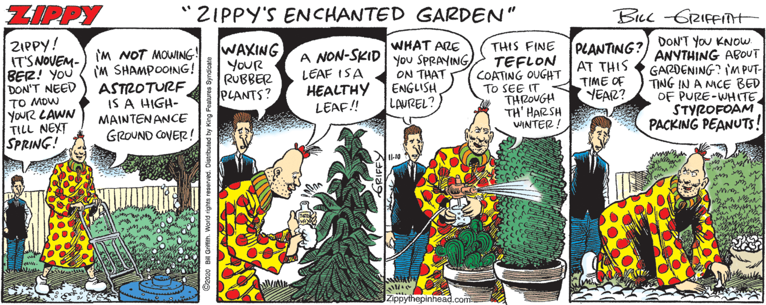 Line OCR: ZIPPY " ZIPPY'S ENCHANTED GARDEN" BLc -GRIFFInt ZIPPY! IT'SNOVEM- BER! YOU DON'T NEED IM NOT MOWING! (M SHAMPOOING! ASTROTURF IS A HIGH- WAXING YOUR RUBBER PLANTS? WHAT ARE A NON-SKID you SPRAYING ON THAT ENGLISH LAUREL? THIS FINE TEFLON COATING OUGHT TO SEE IT THROUGH TH' HARSH WINTER! PLANTING? AT THIS TIME OF YEAR? DON'T YOU KNOW. ANYTHING ABOUT GARDENING? M PUT- TING IN A NICE BED OF PURE-WHITESTYROFOAM PACKING PEANUTS! LEAF ISA HEALTHY LEAF! TO MOW YOUR LAWN TILL NEXT SPRING! MAINTEN ANCE GROUND COVER! Zippythepinhead.com O Bil Grifth. World rights reserved. Dis ZIPPY " ZIPPY'S ENCHANTED GARDEN" BLc -GRIFFInt ZIPPY! IT'SNOVEM- BER! YOU DON'T NEED IM NOT MOWING! (M SHAMPOOING! ASTROTURF IS A HIGH- WAXING YOUR RUBBER PLANTS? WHAT ARE A NON-SKID you SPRAYING ON THAT ENGLISH LAUREL? THIS FINE TEFLON COATING OUGHT TO SEE IT THROUGH TH' HARSH WINTER! PLANTING? AT THIS TIME OF YEAR? DON'T YOU KNOW. ANYTHING ABOUT GARDENING? M PUT- TING IN A NICE BED OF PURE-WHITESTYROFOAM PACKING PEANUTS! LEAF ISA HEALTHY LEAF! TO MOW YOUR LAWN TILL NEXT SPRING! MAINTEN ANCE GROUND COVER! Zippythepinhead.com O Bil Grifth. World rights reserved. Dis
