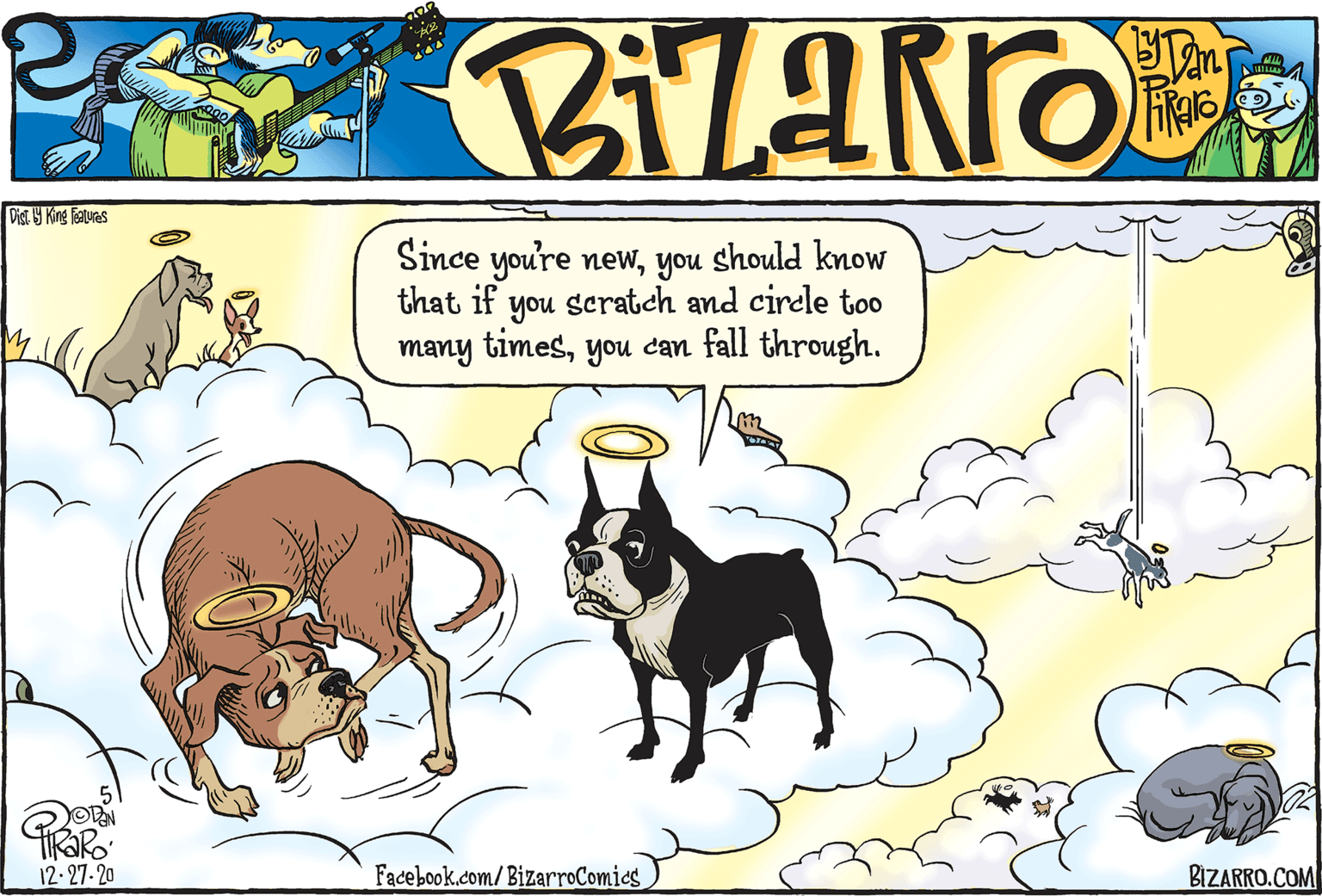 Terrestrial animal OCR: Dist G King foaturas Since you're newyou should know that if you scratch and circle too many timesyou can fall through. ORN 12- 27-20 Facebook.com/BizarroComics BIZARRO.COM Dist G King foaturas Since you're newyou should know that if you scratch and circle too many timesyou can fall through. ORN 12- 27-20 Facebook.com/BizarroComics BIZARRO.COM
