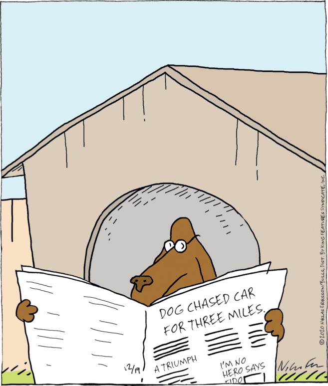 Clip art OCR: DOG CHASED CAR FOR THREE MILESA TRIUMPH l'M NO HERO SAYS KIDO Nialen ©2020 NIKLAS ERIKSSON/BULLSINC. DOG CHASED CAR FOR THREE MILESA TRIUMPH l'M NO HERO SAYS KIDO Nialen ©2020 NIKLAS ERIKSSON/BULLSDIST. BY KING FEATURES SYNDICATE