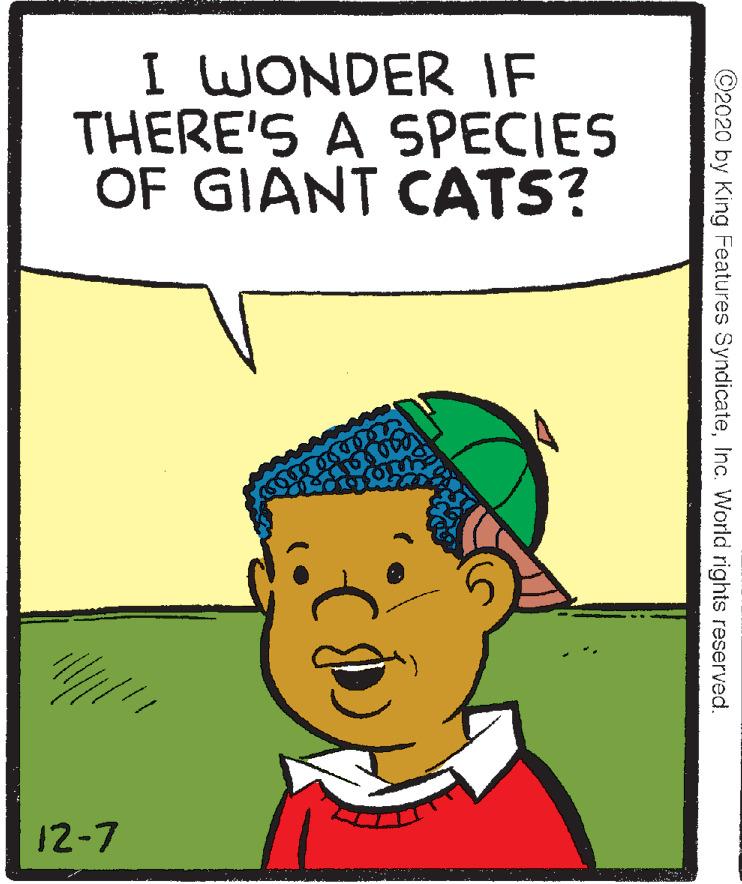 Jaw OCR: I WONDER IF THERE'S A SPECIES OF GIANT CATS? 12-7 ©2020 by King Features SyndicateInc. World rights reserved. I WONDER IF THERE'S A SPECIES OF GIANT CATS? 12-7 ©2020 by King Features SyndicateInc. World rights reserved.