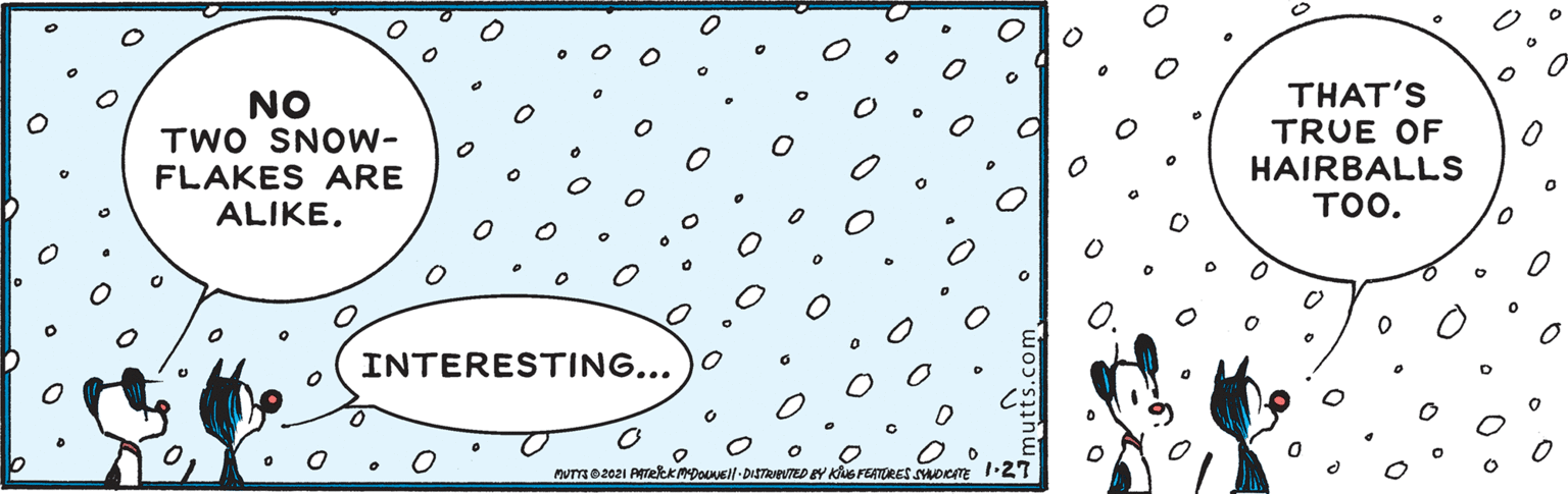 Painting OCR: NO TWO SNOW- FLAKES ARE ALIKETHAT'S TRUE OF HAIRBALLS TOO. INTERESTING... Pume2021 PTetKMDOUNsll- DISTRIEUTED EY KuS FEATORES sHoce 1•2T NO TWO SNOW- FLAKES ARE ALIKETHAT'S TRUE OF HAIRBALLS TOO. INTERESTING... Pume2021 PTetKMDOUNsll- DISTRIEUTED EY KuS FEATORES sHoce 1•2T