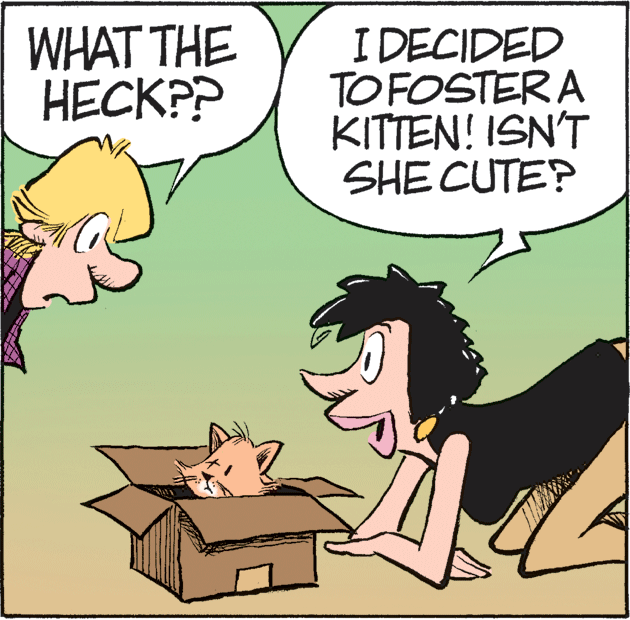 Line OCR: WHAT THE HECKPP I DECIDED TO FOSTERA KITTEN! ISN'T SHE CUTE? WHAT THE HECKPP I DECIDED TO FOSTERA KITTEN! ISN'T SHE CUTE?
