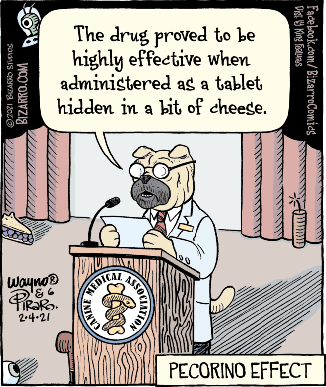 Pleased OCR: The drug proved to be highly effective when administered as a tablet hidden in a bit of cheese. ASSO HEDICAL Wayno® 2.4.21 PECORINO EFFECT Facebook.com/ BizarroComics Dist Y King features BIZARRO.COM ©2021 BIZARRO STUDIOS ININV The drug proved to be highly effective when administered as a tablet hidden in a bit of cheese. ASSO HEDICAL Wayno® 2.4.21 PECORINO EFFECT Facebook.com/ BizarroComics Dist Y King features BIZARRO.COM ©2021 BIZARRO STUDIOS ININV
