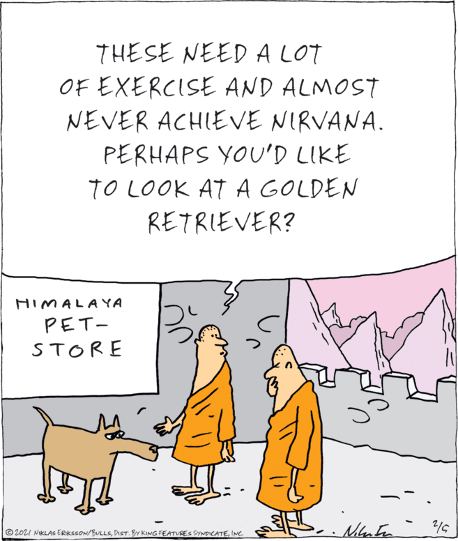 Slope OCR: THESE NEED A LOT OF EXERCISE AND ALMOST NEVER ACHIEVE NIRVANA. PERHAPS YOU'D LIKE TO LOOK AT A GOLDEN RETRIEVER? HIMALAYA PET- STORE © 2021 NIKLAC ERIKcCON/BULLSINC. THESE NEED A LOT OF EXERCISE AND ALMOST NEVER ACHIEVE NIRVANA. PERHAPS YOU'D LIKE TO LOOK AT A GOLDEN RETRIEVER? HIMALAYA PET- STORE © 2021 NIKLAC ERIKcCON/BULLSDIST. BY KING FEATURES SYNDICATE