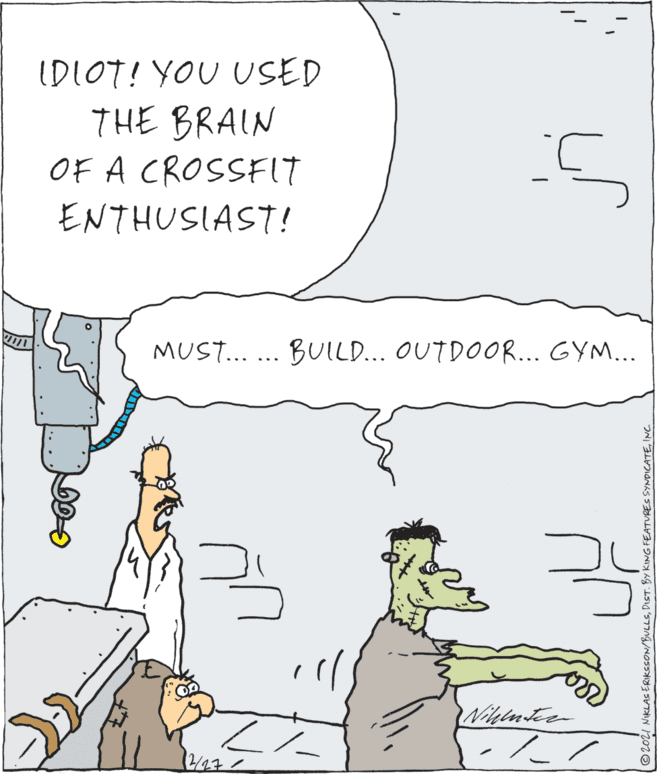 Rectangle OCR: IDIOT! YOU USED THE BRAIN OF A CROSSFIT ENTHUSIAST! MUST... ... BUILD... OUTDOOR.. GYM... ©2021 NIKLAS ERIKSSON/BULLSINC IDIOT! YOU USED THE BRAIN OF A CROSSFIT ENTHUSIAST! MUST... ... BUILD... OUTDOOR.. GYM... ©2021 NIKLAS ERIKSSON/BULLSDIST. BY KING FEATURES SYNDICATE
