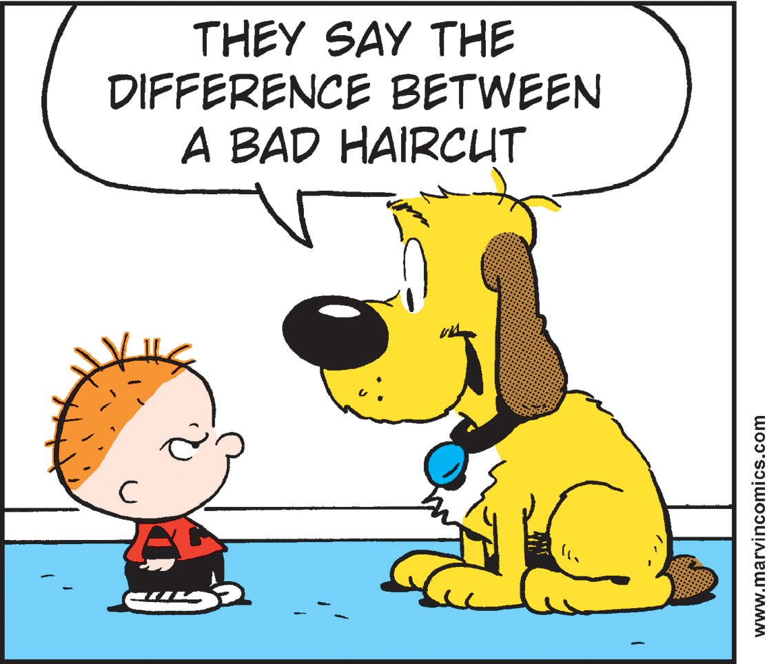 Happy OCR: THEY SAY THE DIFFERENCE BETWEEN A BAD HAIRCUT www.marvincomics.com THEY SAY THE DIFFERENCE BETWEEN A BAD HAIRCUT www.marvincomics.com