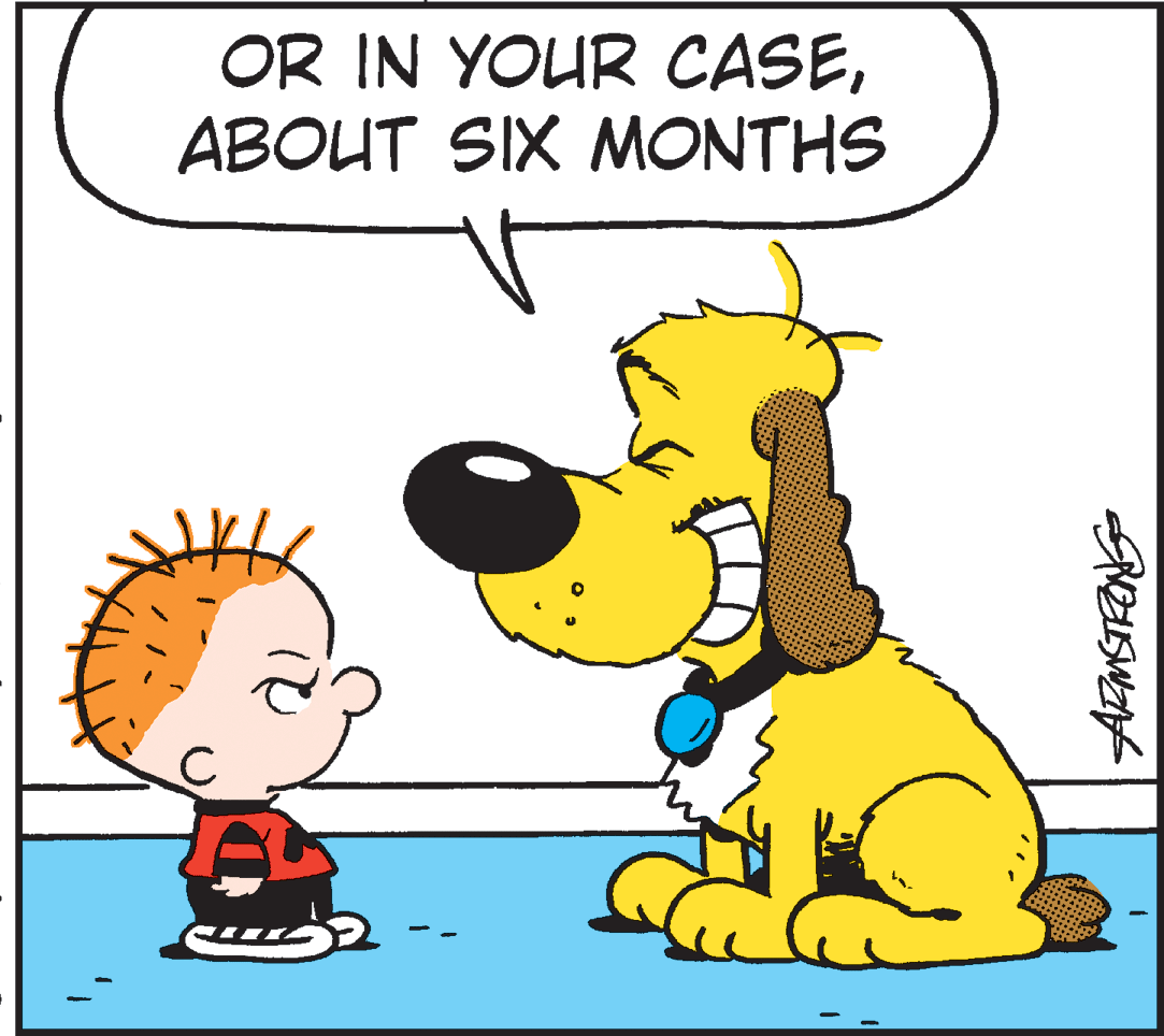 Happy OCR: OR IN YOUR CASEABOUT SIX MONTHS OR IN YOUR CASEABOUT SIX MONTHS
