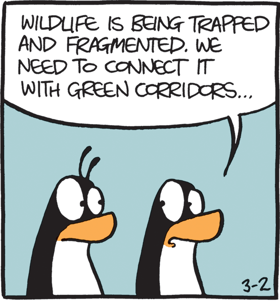 Terrestrial animal OCR: WILDUFE IS BEING TRAPPED AND FRAGMENTED. WE NEED TO CONNECT IT WITH GREEN CORRIDORS... 3-2 WILDUFE IS BEING TRAPPED AND FRAGMENTED. WE NEED TO CONNECT IT WITH GREEN CORRIDORS... 3-2