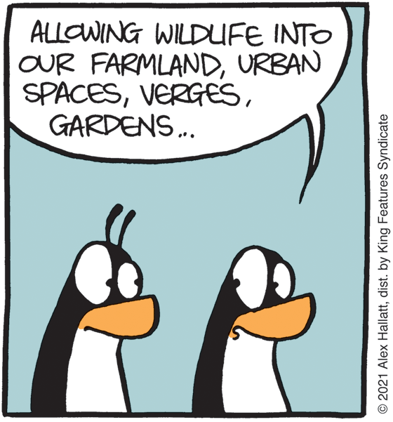 Rectangle OCR: ALLOWING WILDUFE INTO OUR FARMLANDURBAN SPACESGARDENS.. © 2021 Alex Hallattdist. by King Features Syndicate ALLOWING WILDUFE INTO OUR FARMLANDURBAN SPACESGARDENS.. © 2021 Alex Hallattdist. by King Features Syndicate