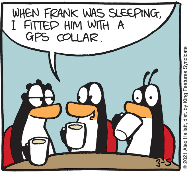 Rectangle OCR: WHEN FRANK WAS SLEEPINGI FITTED HIM WITH A GPS COLLAR. 3-5 © 2021 Alex Hallattdist. by King Features Syndicate WHEN FRANK WAS SLEEPINGI FITTED HIM WITH A GPS COLLAR. 3-5 © 2021 Alex Hallattdist. by King Features Syndicate