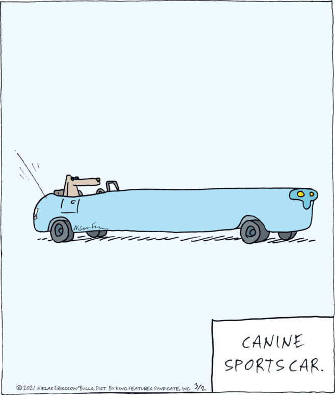 Vehicle door OCR: CANINE SPORTS CAR. © 2021 NIKLAS ERIKSSON/BULLSING /2 CANINE SPORTS CAR. © 2021 NIKLAS ERIKSSON/BULLSDIST. BY KING FEATURES SYNDICATEING /2