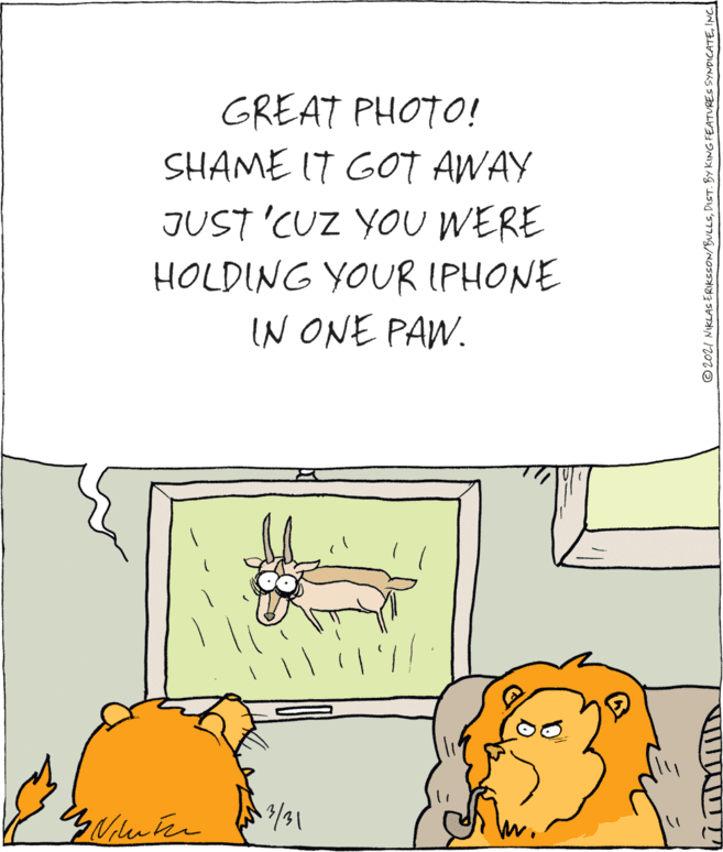 Adaptation OCR: GREAT PHOTO! SHAME IT GOT AWAY JUST 'CUZ YOU WERE HOLDING YOUR IPHONE IN ONE PAW. © 202I NIKLASERIKSSON/BULLSINC GREAT PHOTO! SHAME IT GOT AWAY JUST 'CUZ YOU WERE HOLDING YOUR IPHONE IN ONE PAW. © 202I NIKLASERIKSSON/BULLSDIST. BY KING FEATURES SYNDICATE