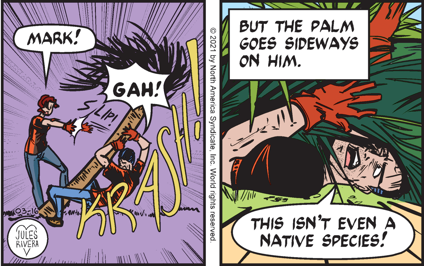 Font OCR: BUT THE PALM GOES SIDEWAYS ON HIM. MARK! GAH! 03-16 JULES RIVERA THIS ISN'T EVEN A NATIVE SPECIES! © 2021 by North America SyndicateInc. World rights reserved. BUT THE PALM GOES SIDEWAYS ON HIM. MARK! GAH! 03-16 JULES RIVERA THIS ISN'T EVEN A NATIVE SPECIES! © 2021 by North America SyndicateInc. World rights reserved.