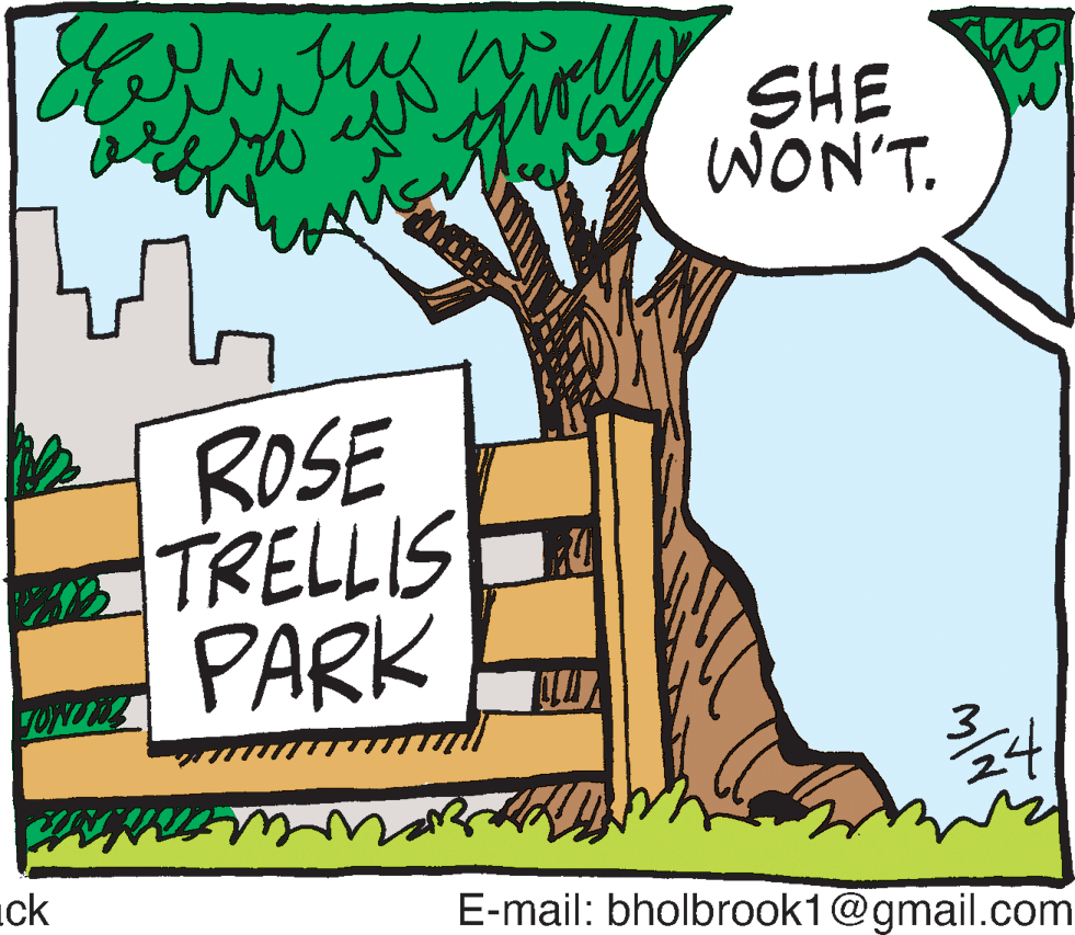 Tree OCR: frolls WON'T. SHE ROSE TRELLIS PARK uck E-mail: bholbrook1@gmail.com frolls WON'T. SHE ROSE TRELLIS PARK uck E-mail: bholbrook1@gmail.com