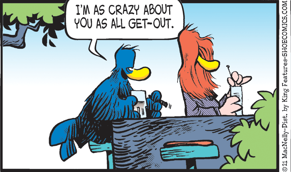 Font OCR: I'M AS CRAZY ABOUT YOU AS ALL GET-OUT. © 21 MacNelly-Dist. by King Features-SHOECOMICS.COM I'M AS CRAZY ABOUT YOU AS ALL GET-OUT. © 21 MacNelly-Dist. by King Features-SHOECOMICS.COM
