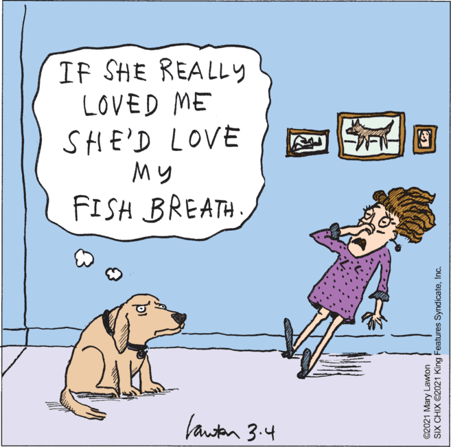 Carnivore OCR: IF SHE REALLY LOVED ME SHE'D LOVE My FISH BREATHfauten 3:4 ©2021 Mary Lawton SIX CHIX ©2021 King Features SyndicateInc. IF SHE REALLY LOVED ME SHE'D LOVE My FISH BREATHfauten 3:4 ©2021 Mary Lawton SIX CHIX ©2021 King Features Syndicate