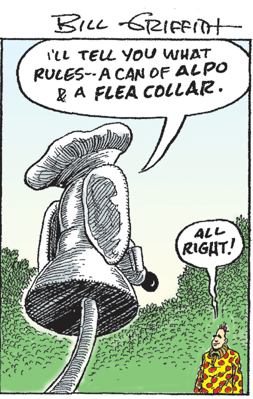 Illustration OCR: BiLL GRIt I'lL TELL YOu WHAT RULES--A CAN OF ALPO l A FLEA COLLAR. ALL RIGHT! BiLL GRIt I'lL TELL YOu WHAT RULES--A CAN OF ALPO l A FLEA COLLAR. ALL RIGHT!