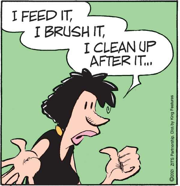 Sharing OCR: I FEED ITI CLEAN UP AFTER IT. ©2021 ZITS Partnership. Dist. by King Features I FEED ITI BRUSH ITI CLEAN UP AFTER IT. ©2021 ZITS Partnership. Dist. by King Features