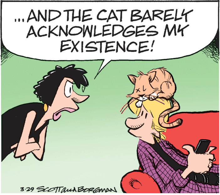 Mammal OCR: .AND THE CAT BARELY ACKNOWLEDGES MK EXISTENCE! 3:29 ScOTTarud BOREMAN .AND THE CAT BARELY ACKNOWLEDGES MK EXISTENCE! 3:29 ScOTTarud BOREMAN