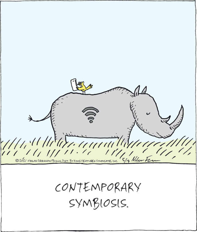 Happy OCR: ??????/ © 2021 NIKLAS ERIKSSON/BULLSINC CONTEMPORARY SYMBIOSIS. ?????? / © 2021 NIKLAS ERIKSSON/BULLSDIST. BY KING FEATURES SYNDICATEINC CONTEMPORARY SYMBIOSIS.