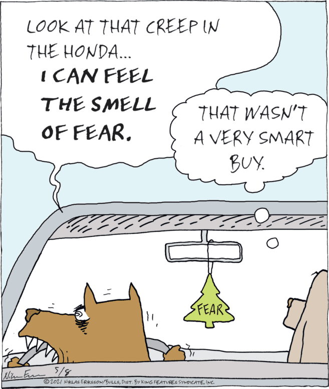 Illustration OCR: LOOK AT THAT CREEP IN THE HONDA.. I CAN FEEL THE SMELL THAT WASN'T A VERY SMART BUY. OF FEAR. SFEAR Kit Em 5/8 © 2021 NIKLAS ERIKSSON/BULLSINC LOOK AT THAT CREEP IN THE HONDA.. I CAN FEEL THE SMELL THAT WASN'T A VERY SMART BUY. OF FEAR. SFEAR Kit Em 5/8 © 2021 NIKLAS ERIKSSON/BULLSDIST. BY KING FEATURES SYNDICATE