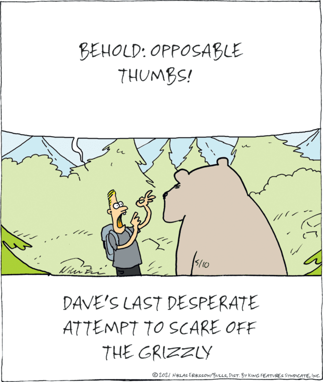 Illustration OCR: BEHOLD: OPPOSABLE THUMBS! 5/10 DAVE'S LAST DESPERATE ATTEMPT TO SCARE OFF THE GRIZZLY © 2021 NIKLAS ERIKSSON/BULLSING. BEHOLD: OPPOSABLE THUMBS! 5/10 DAVE'S LAST DESPERATE ATTEMPT TO SCARE OFF THE GRIZZLY © 2021 NIKLAS ERIKSSON/BULLSDIST. BY KING FEATVREES SYNDICATE