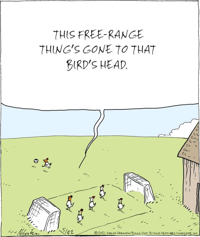 Art OCR: THIS FREE-RANGE THING'S GONE TO THAT BIRD'S HEAD. Wer © 2021 NIKLAS ERIKSSON/BULLSINC 11 Nlenten THIS FREE-RANGE THING'S GONE TO THAT BIRD'S HEAD. Wer © 2021 NIKLAS ERIKSSON/BULLSDIST. BY KING FEATURES SYNDICATEINC 11 Nlenten