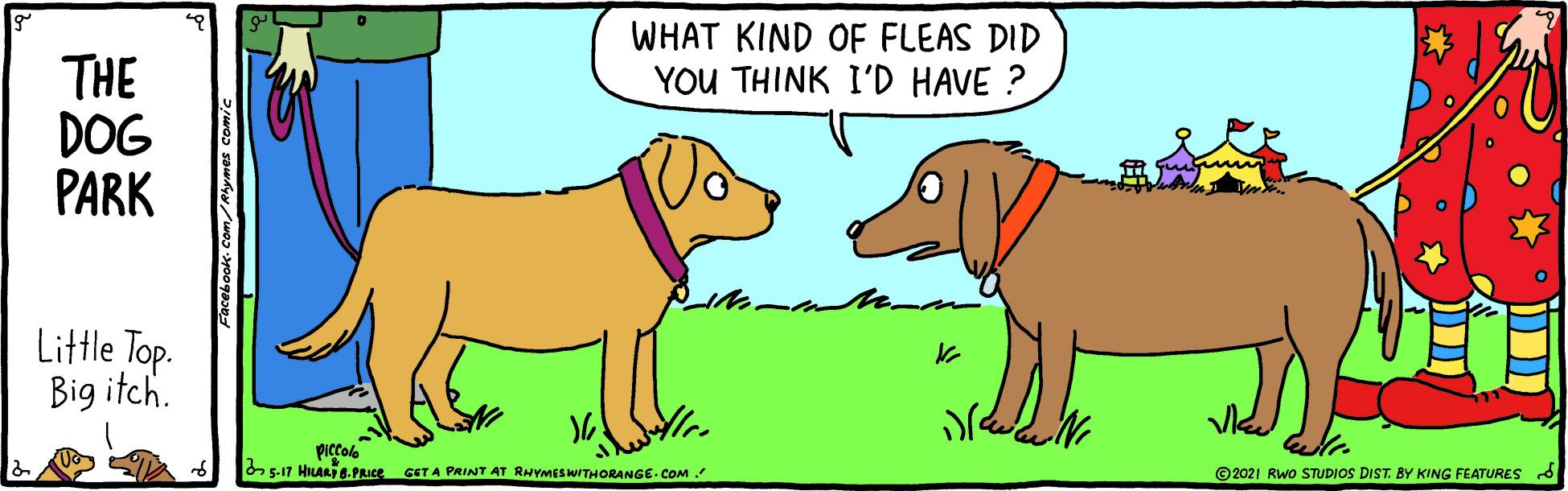 Gesture OCR: WHAT KIND OF FLEAS DID YOU THINK I'D HAVE ? THE DOG PARK Little Top. Big itch. piccole s-17 HILAR -PRice GETA PRINT AT RHYMESWITHORANGE COM ©2021 Rwo STUDIOS DIST. BY KING FEATURES WHAT KIND OF FLEAS DID YOU THINK I'D HAVE ? THE DOG PARK Little Top. Big itch. piccole s-17 HILAR -PRice GETA PRINT AT RHYMESWITHORANGE COM ©2021 Rwo STUDIOS DIST. BY KING FEATURES