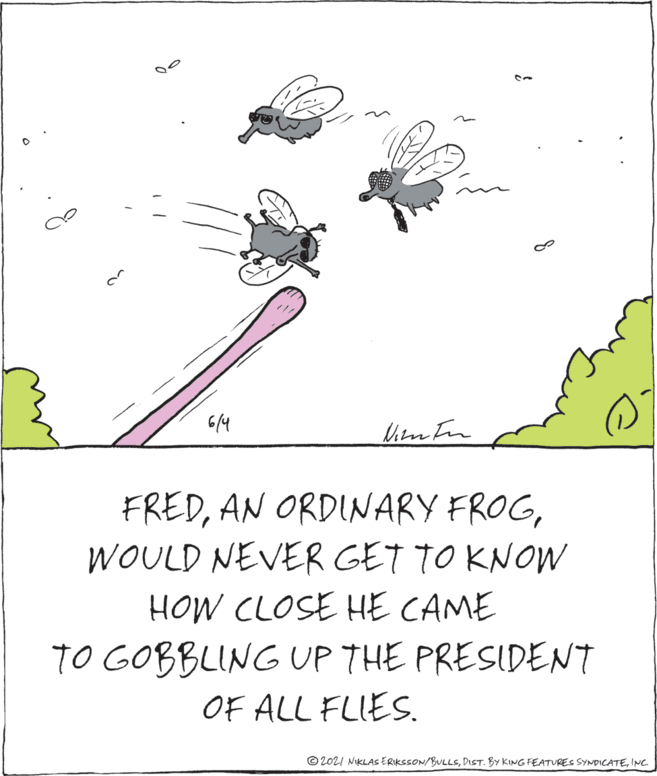 Drawing OCR: 6/4 FREDWOULD NEVER GET TO KNOW HOW CLOSE HE CAME TO GOBBLING UP THE PRESIDENT OF ALL FLIES. ©2021 NIKLAS ERIKSSON/BULLSINC 6/4 FREDAN ORDINARY FROGWOULD NEVER GET TO KNOW HOW CLOSE HE CAME TO GOBBLING UP THE PRESIDENT OF ALL FLIES. ©2021 NIKLAS ERIKSSON/BULLSDIST. BY KING FEATURES SYNDICATE