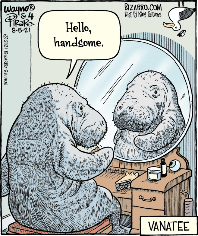 Beard OCR: © 2021 BIZARRO STUDIOS Dist. b9 King Features Wayno® '&4 8.5-21 Hellohandsome. VANATEE BIZARRO.COM © 2021 BIZARRO STUDIOS Dist. b9 King Features Wayno® '&4 8.5-21 Hellohandsome. VANATEE BIZARRO.COM